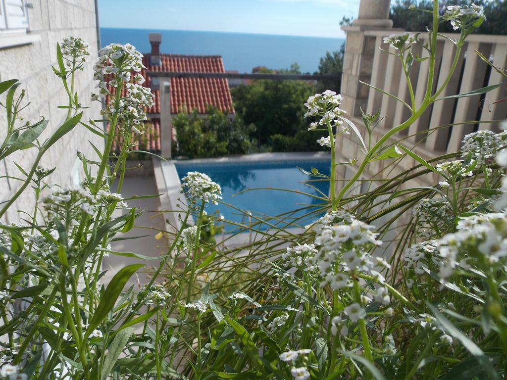 Guesthouse Villa Klaic Dubrovnik Eksteriør bilde